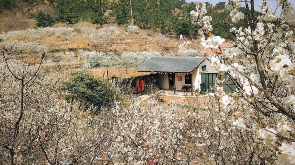融可赢配 青岛崂山：“民宿+”助力文旅产业发展