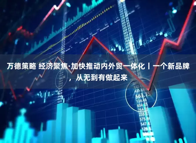 万德策略 经济聚焦·加快推动内外贸一体化丨一个新品牌，从无到有做起来