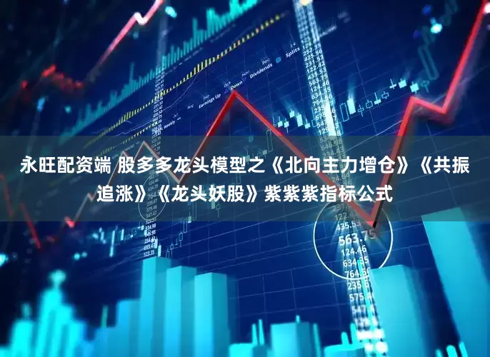 永旺配资端 股多多龙头模型之《北向主力增仓》《共振追涨》《龙头妖股》紫紫紫指标公式