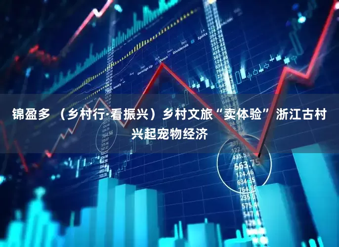锦盈多 （乡村行·看振兴）乡村文旅“卖体验” 浙江古村兴起宠物经济
