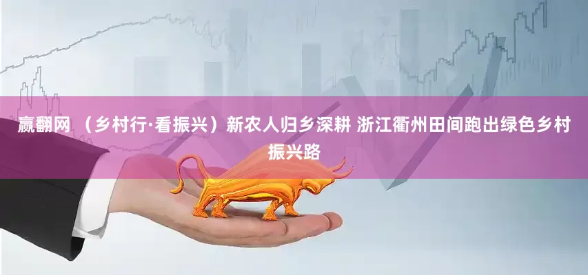 赢翻网 （乡村行·看振兴）新农人归乡深耕 浙江衢州田间跑出绿色乡村振兴路
